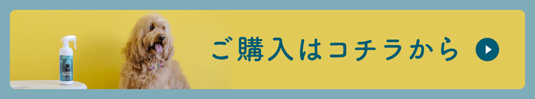 ご購入はこちらから